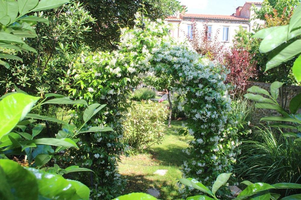Guest house Maison D'hotes